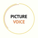 Picture 🎑 Voice 🗣