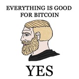 Bitcoin Twitter/Mastodon Backup